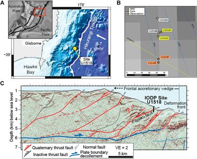 Authigenic Greigite as an Indicator of Methane Diffusion in Gas Hydrate-Bearing Sediments of the Hikurangi Margin, New Zealand